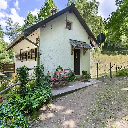 Secluded In Near Forest