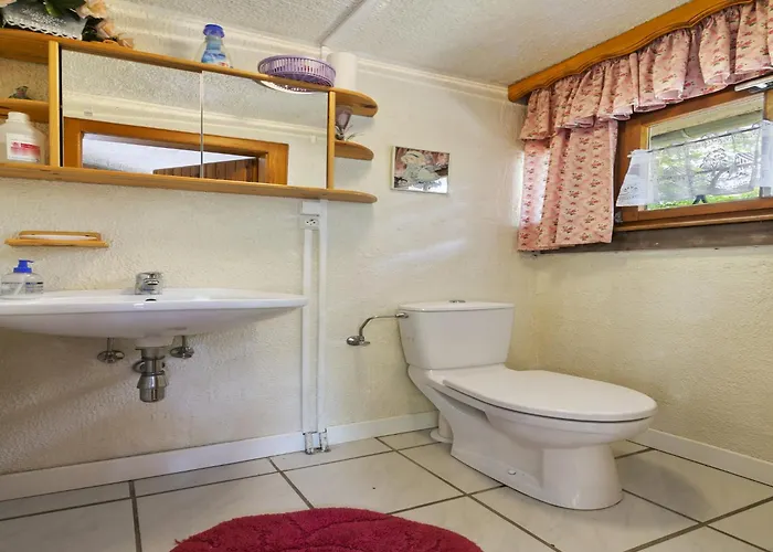 Secluded In Near Forest *